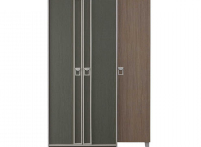 Wooden cupboard Wardrobe Children's cupboard Wardrobe Wood Gray Design